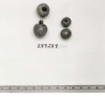 Click for 1 image(s) for this accession. FRUIT